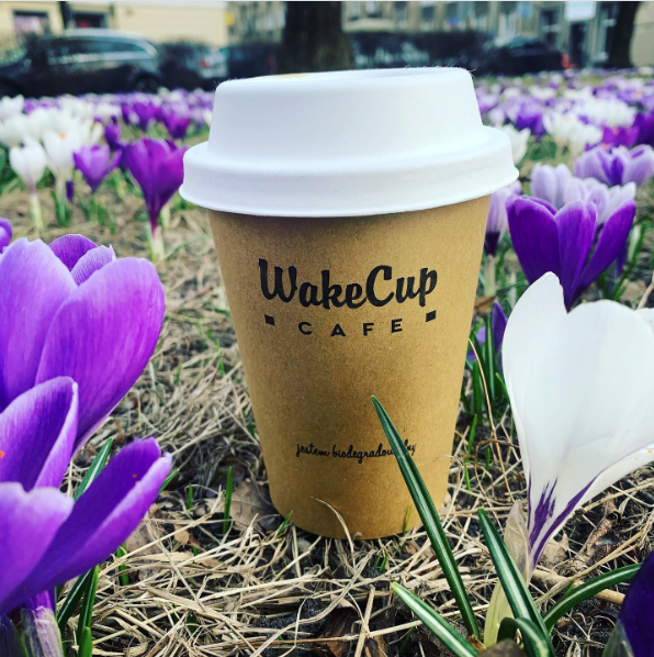 Zrzut ekranu 2026-02-15 180321