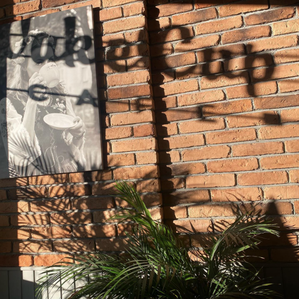 Zrzut ekranu 2026-02-15 181319